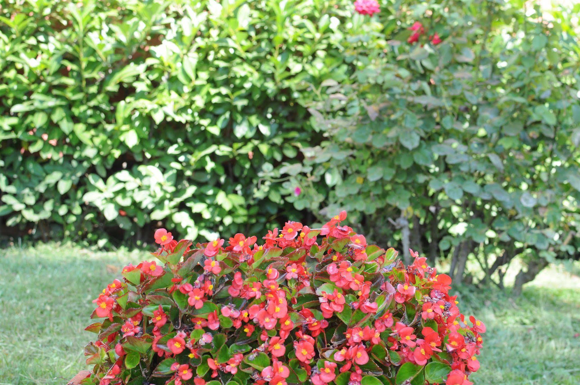 Marinetta Bed & Breakfast Signa Extérieur photo
